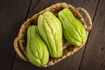 6 Health Benefits of Chayote